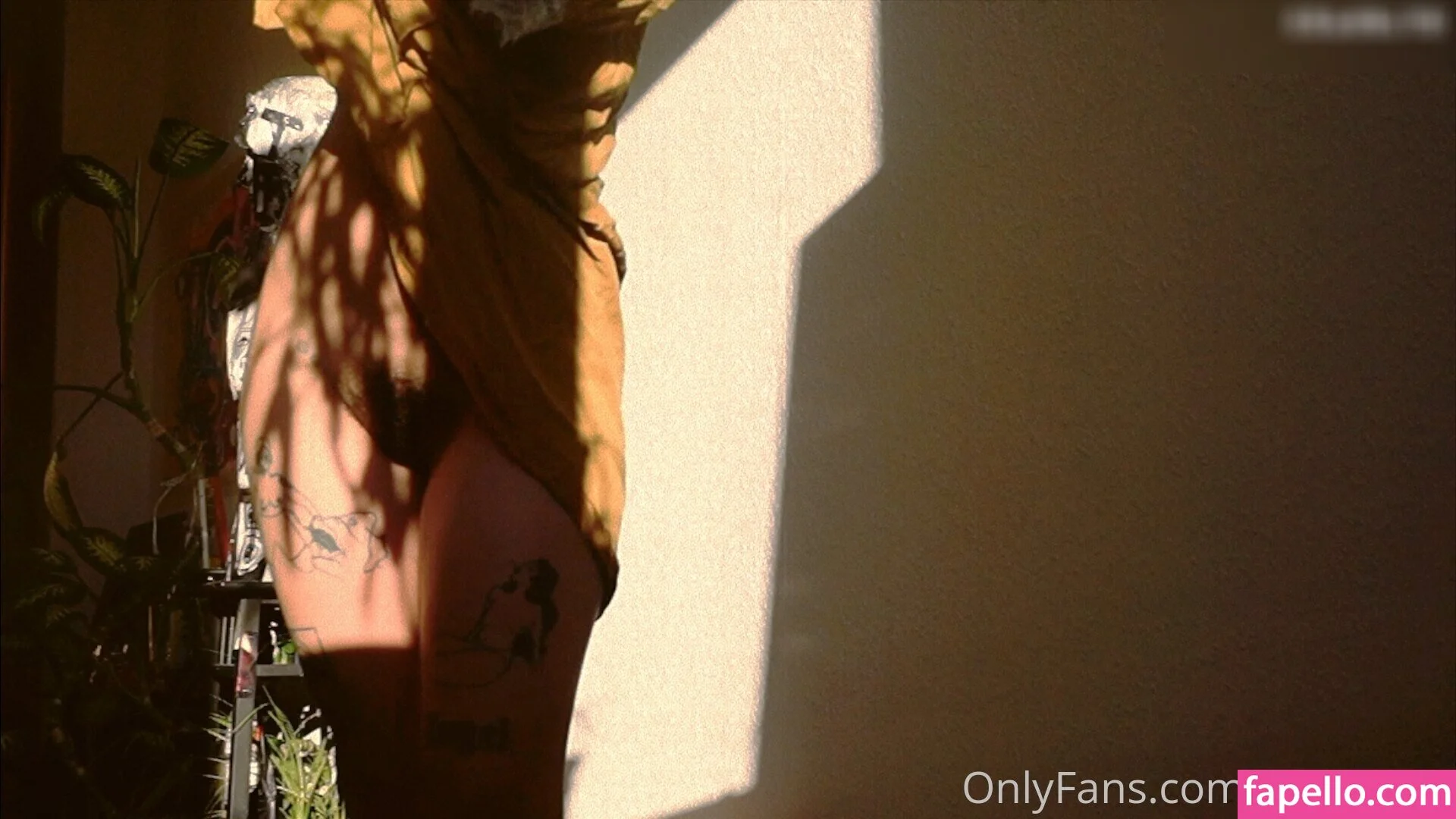 Missirajin Onlyfans Photo Gallery 