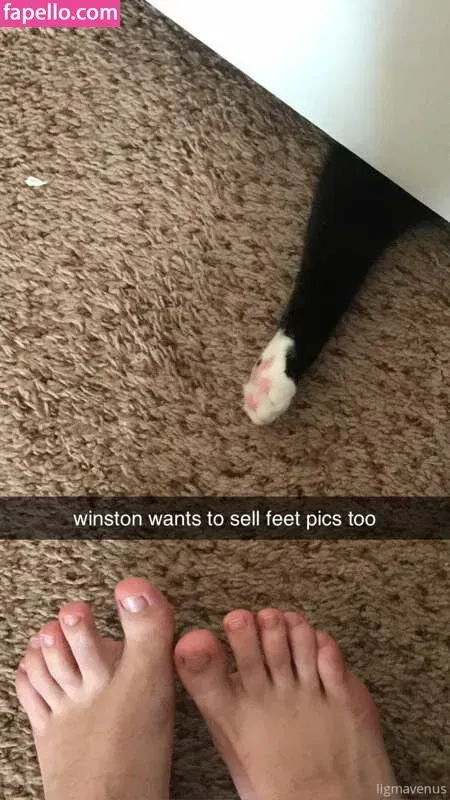 Venus Valentina Onlyfans Photo Gallery 