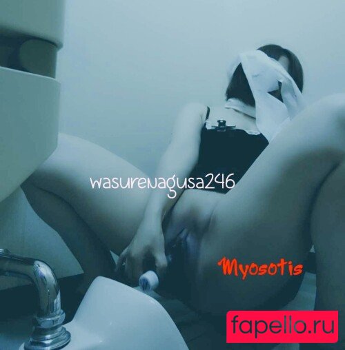 Wasurenagusa246 Nude Onlyfans Photo 23