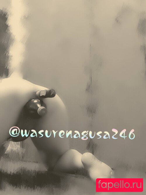Wasurenagusa246 Nude Onlyfans Photo 14