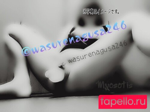 Wasurenagusa246 Nude Onlyfans Photo 12