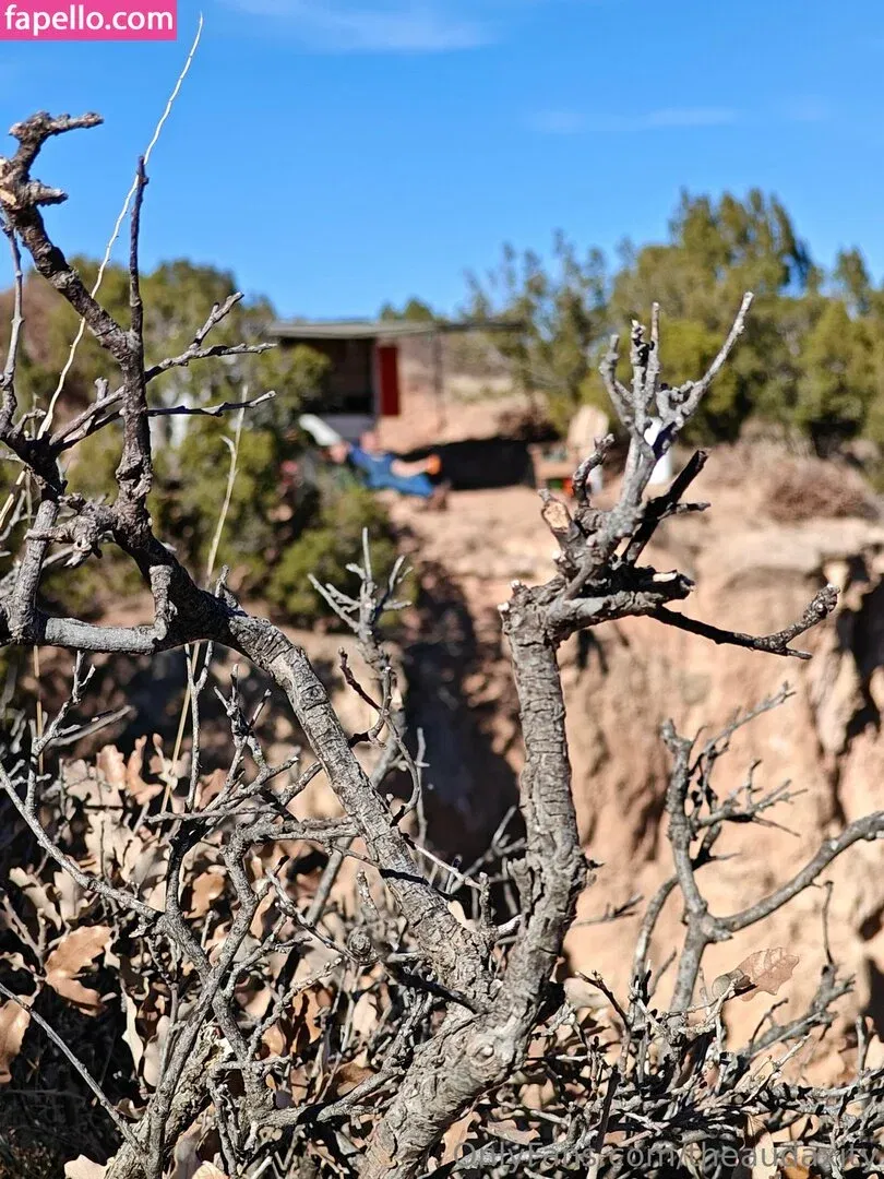 theaudaxity Onlyfans Photo Gallery 