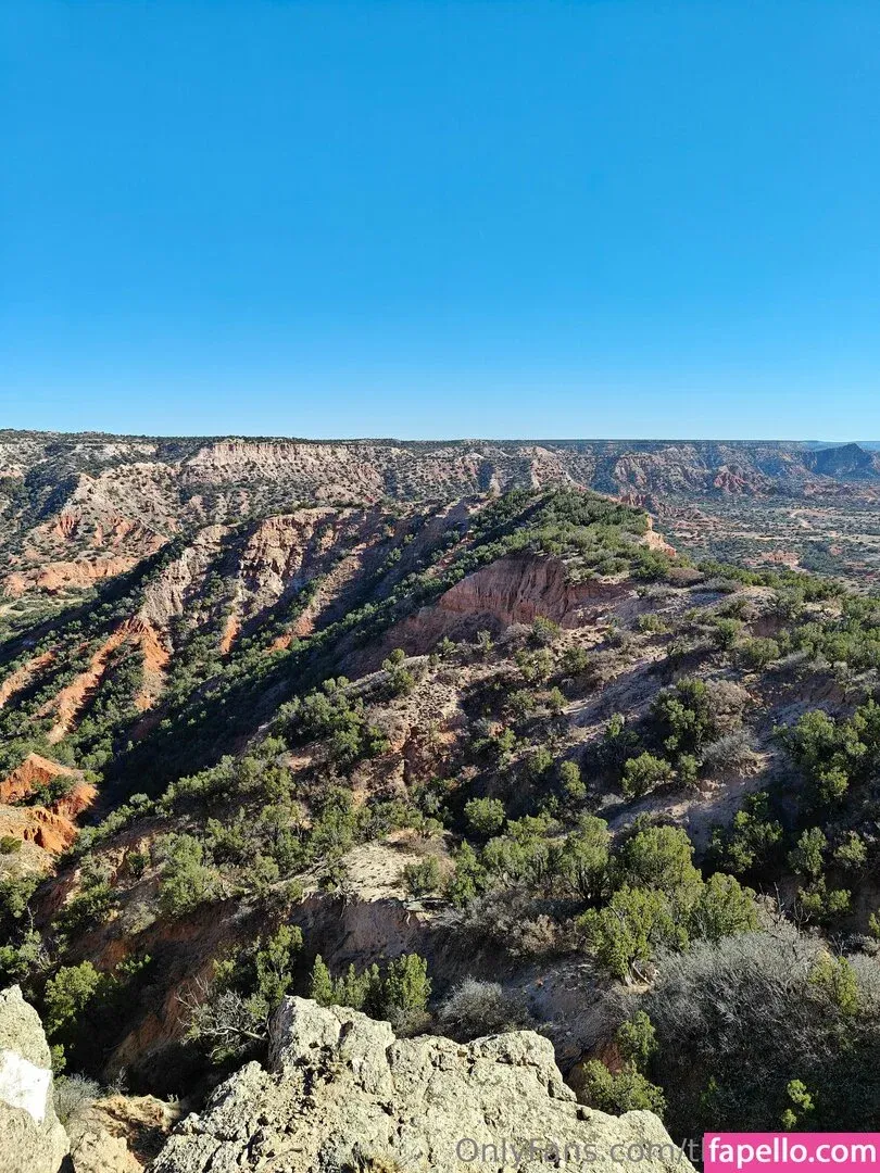 theaudaxity Onlyfans Photo Gallery 