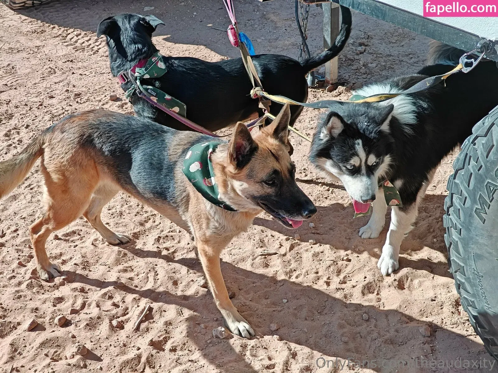 theaudaxity Onlyfans Photo Gallery 