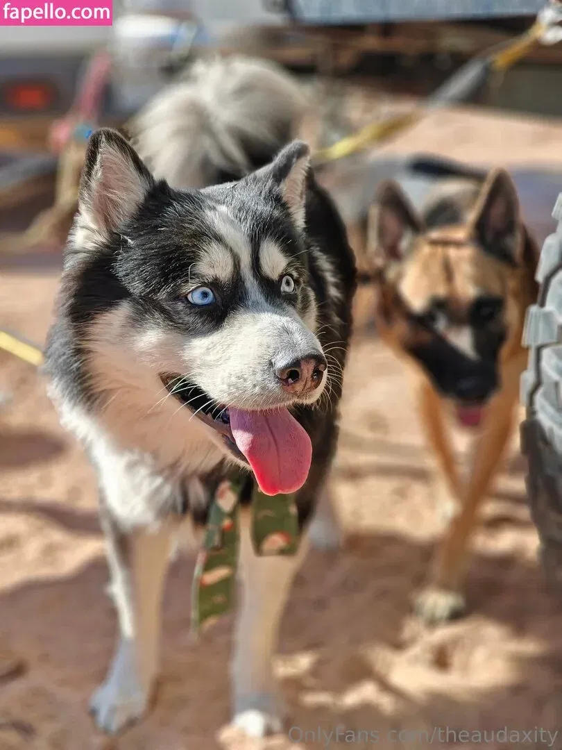 theaudaxity Onlyfans Photo Gallery 