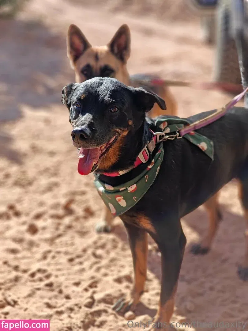 theaudaxity Onlyfans Photo Gallery 