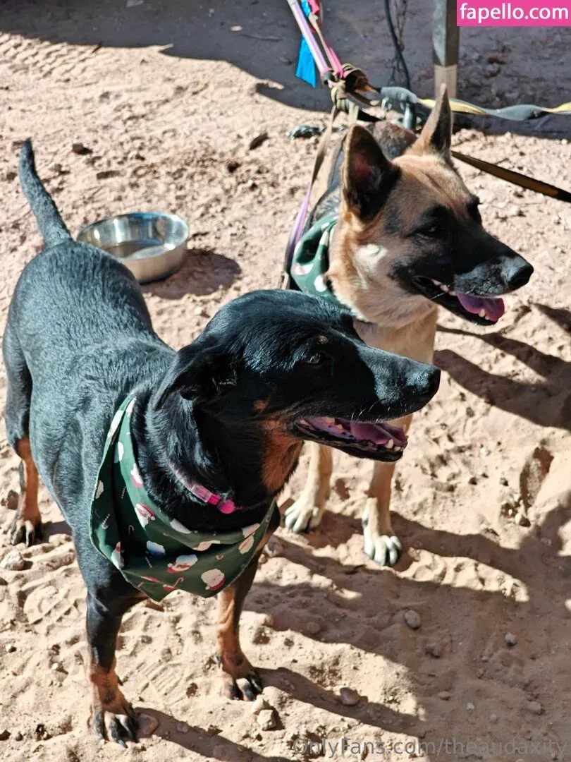 theaudaxity Onlyfans Photo Gallery 