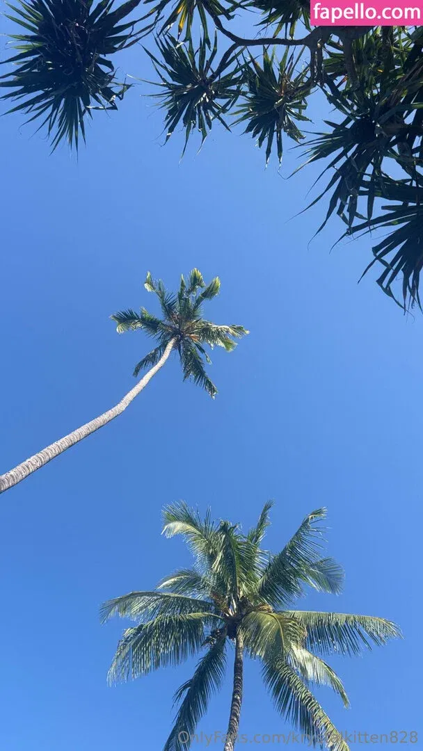 krystalkitten828 Onlyfans Photo Gallery 