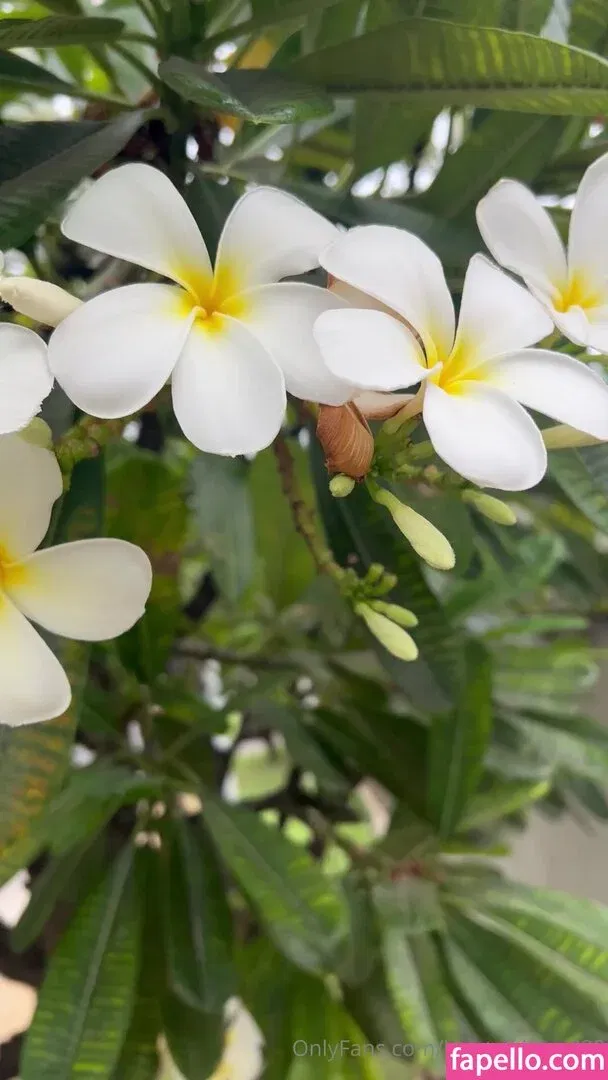 krystalkitten828 Onlyfans Photo Gallery 