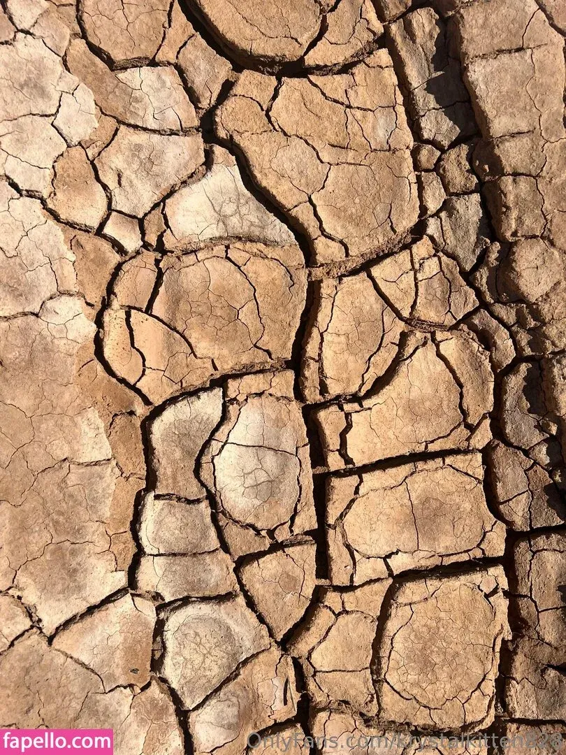 krystalkitten828 Onlyfans Photo Gallery 