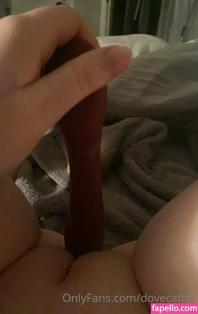 dovecattiri Onlyfans Photo Gallery 