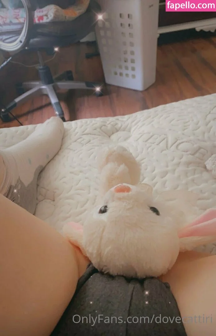 dovecattiri Onlyfans Photo Gallery 