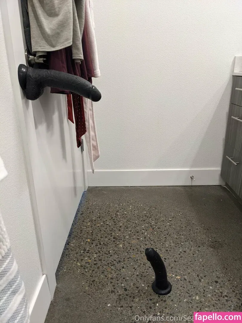 seattlebimcouple Onlyfans Photo Gallery 