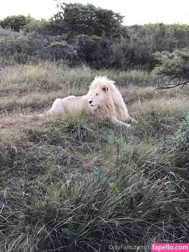 naughtyvettech Onlyfans Photo Gallery 