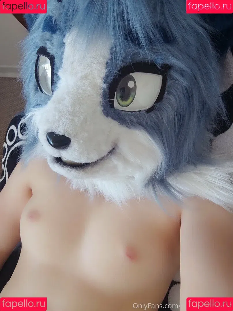 naughtycolliead Onlyfans Photo Gallery 