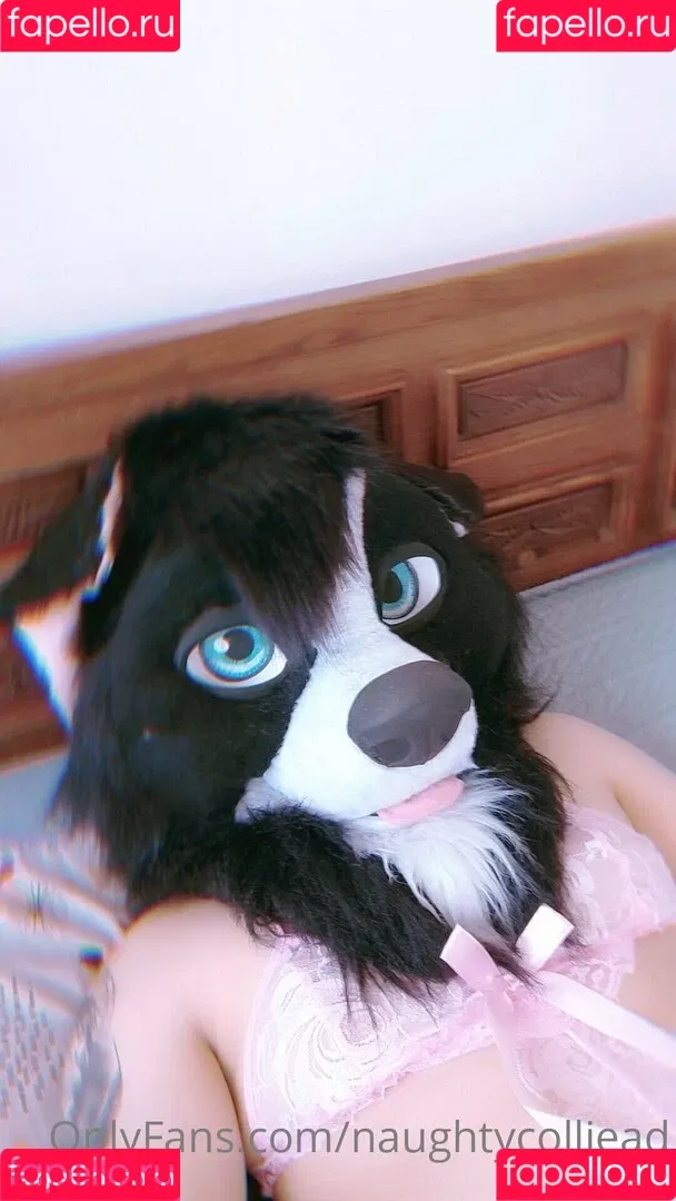 naughtycolliead Onlyfans Photo Gallery 