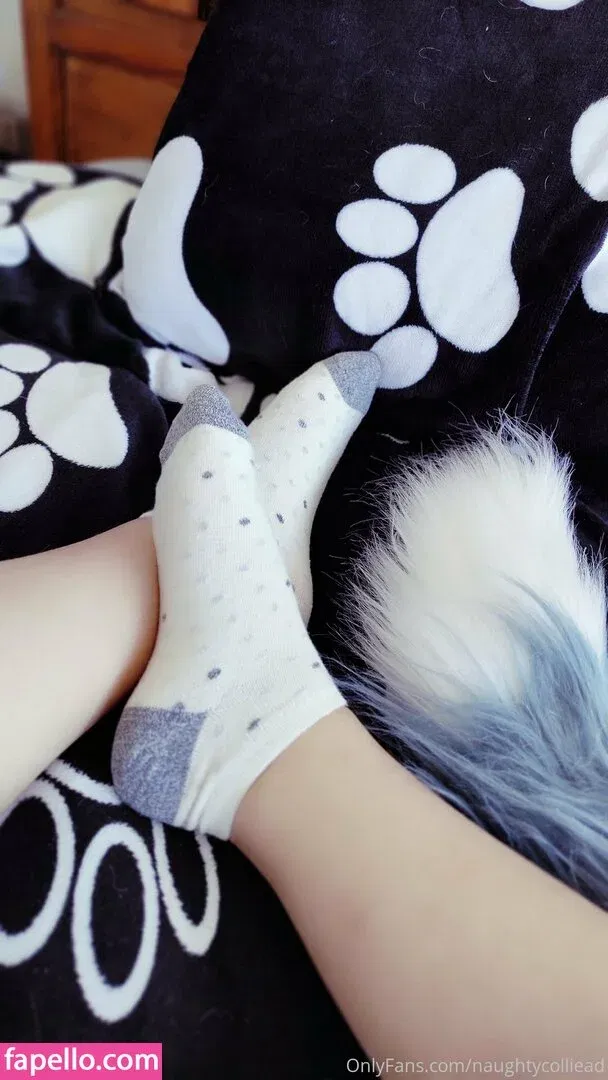 naughtycolliead Onlyfans Photo Gallery 