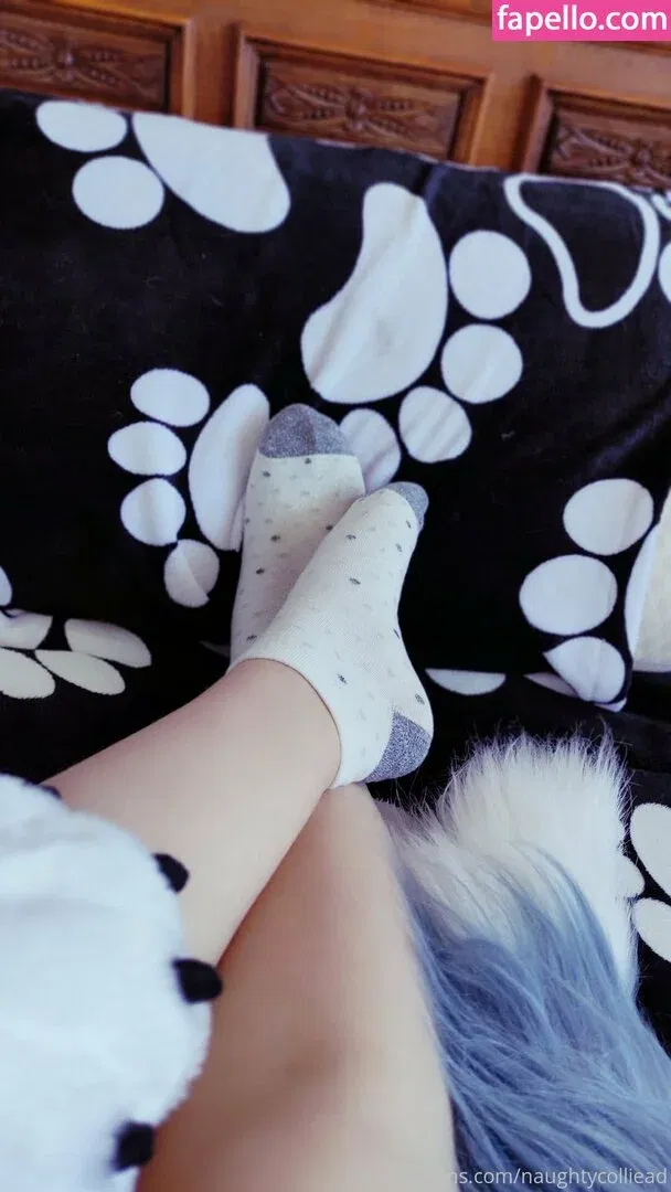 naughtycolliead Onlyfans Photo Gallery 