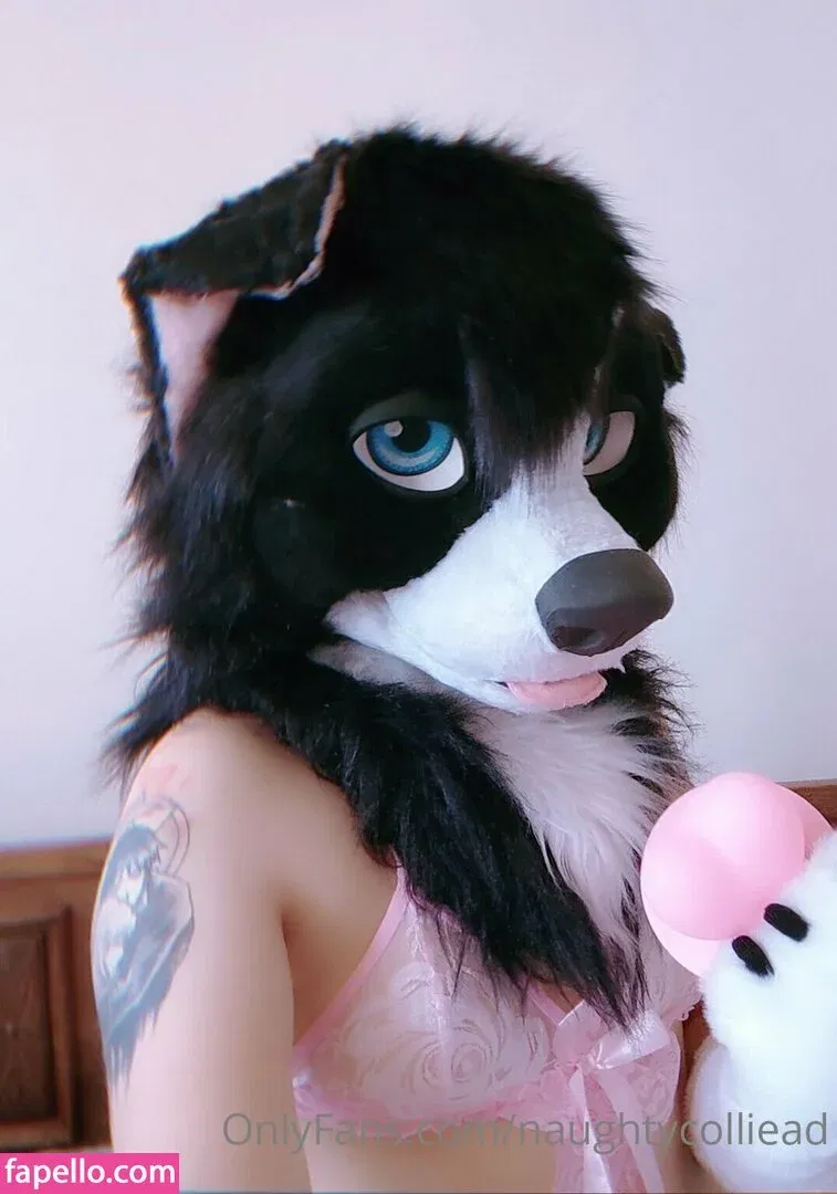naughtycolliead Onlyfans Photo Gallery 