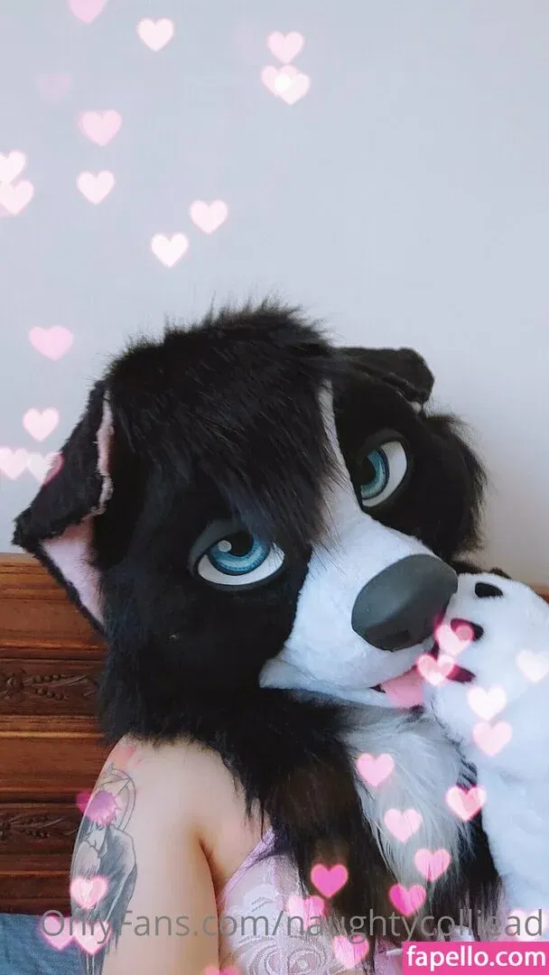 naughtycolliead Onlyfans Photo Gallery 