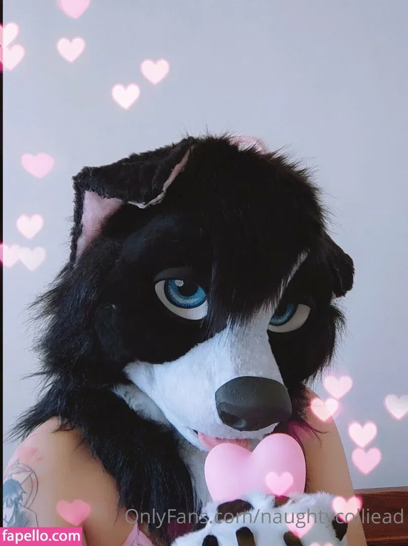 naughtycolliead Onlyfans Photo Gallery 