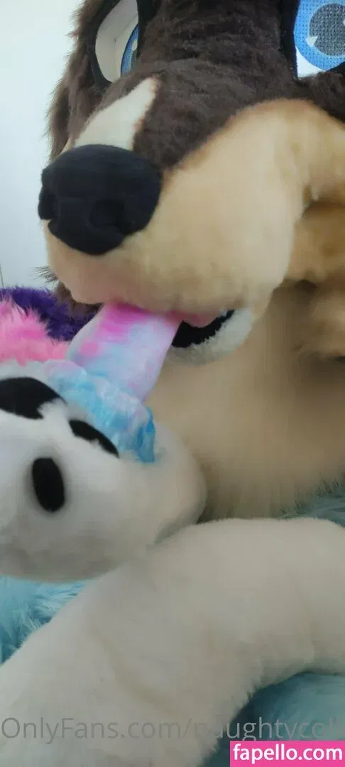 naughtycolliead Onlyfans Photo Gallery 