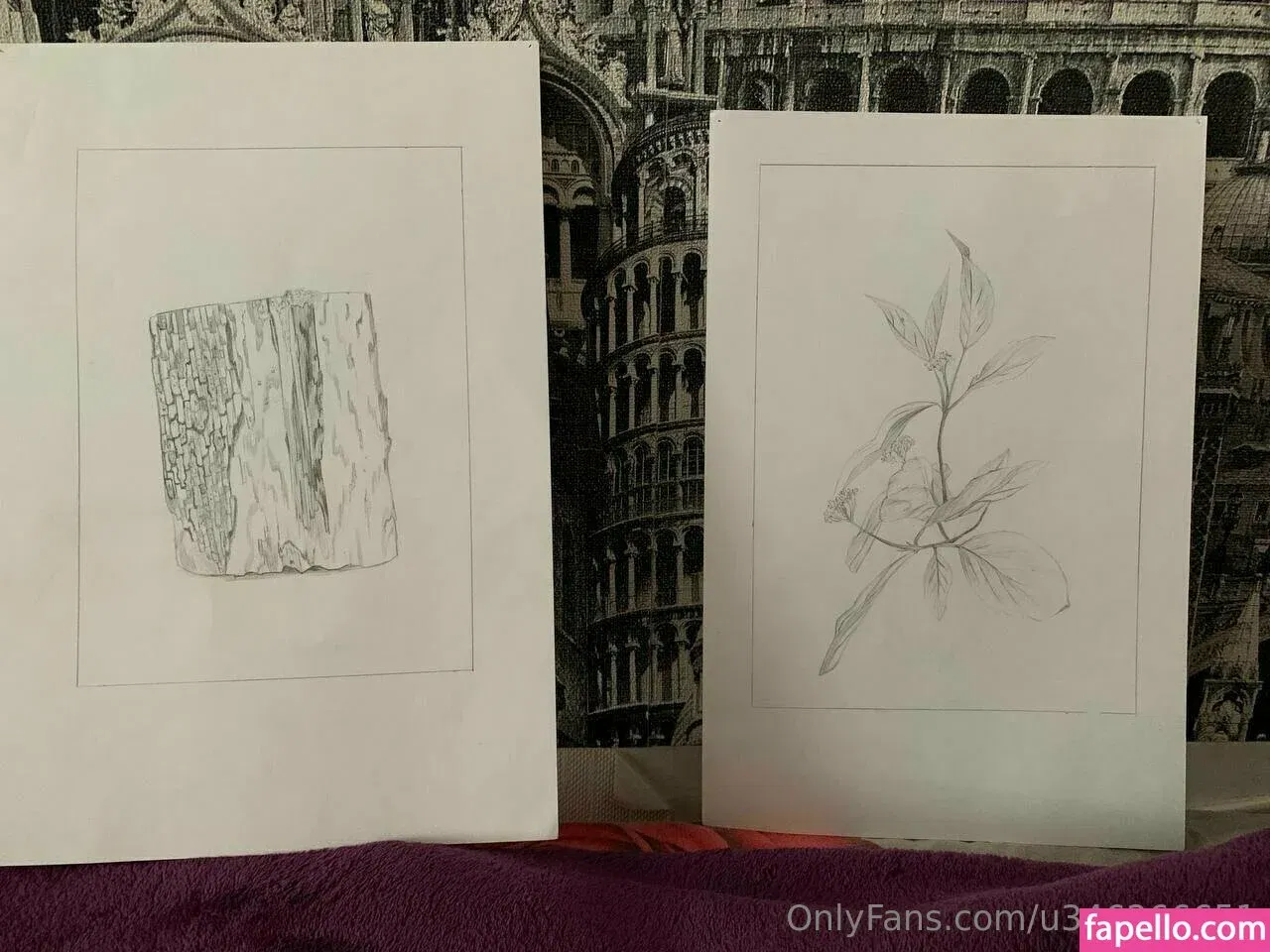 camillacammyy Onlyfans Photo Gallery 