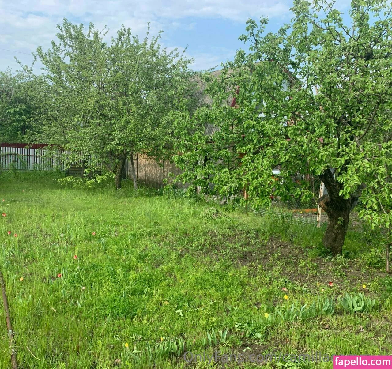 camillacammyy Onlyfans Photo Gallery 