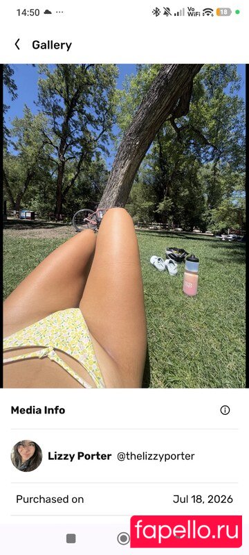 thelizzyporter Nude Onlyfans Photo 11