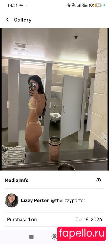 thelizzyporter Nude Onlyfans Photo 10