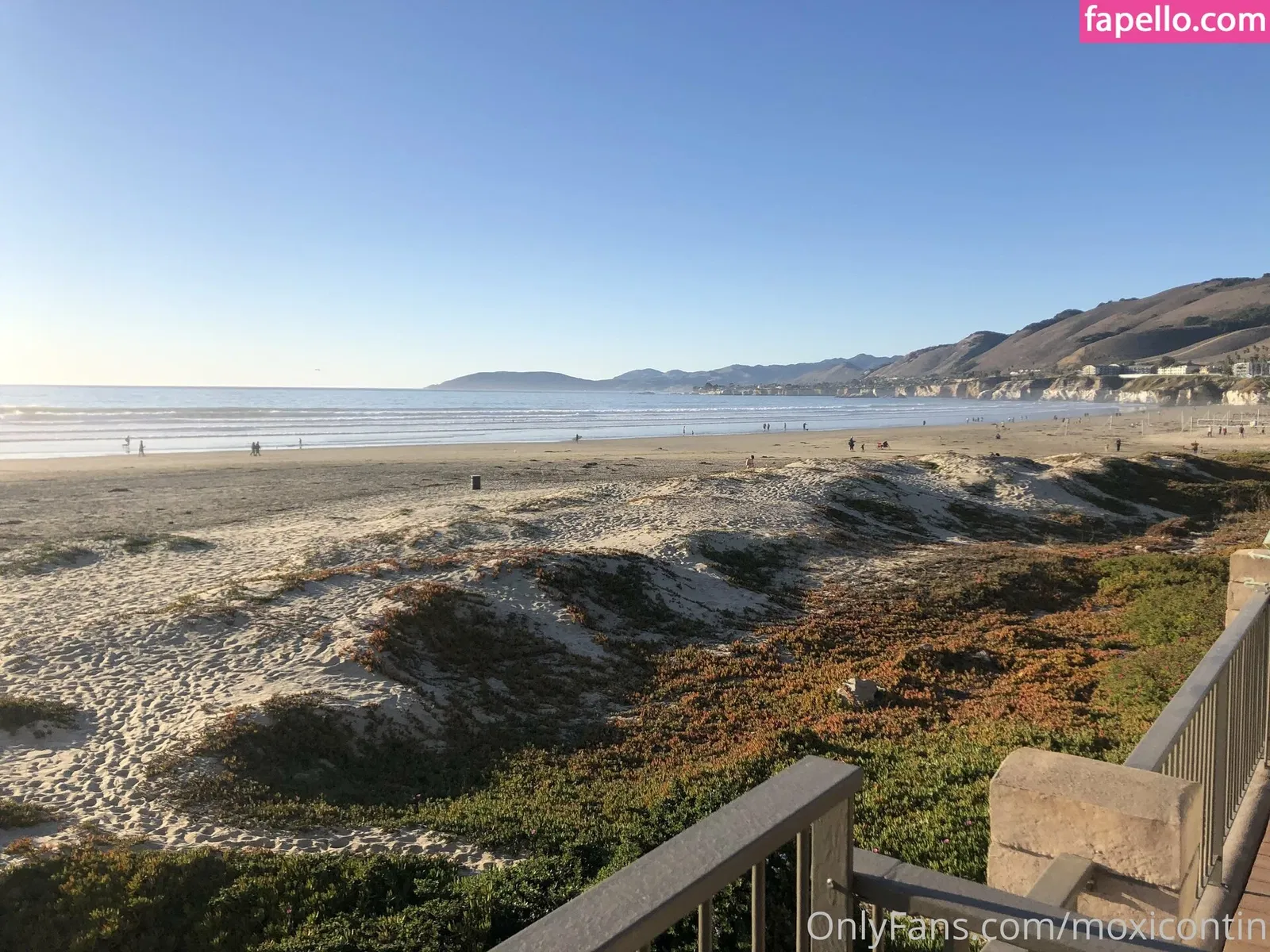 moxicontin Onlyfans Photo Gallery 