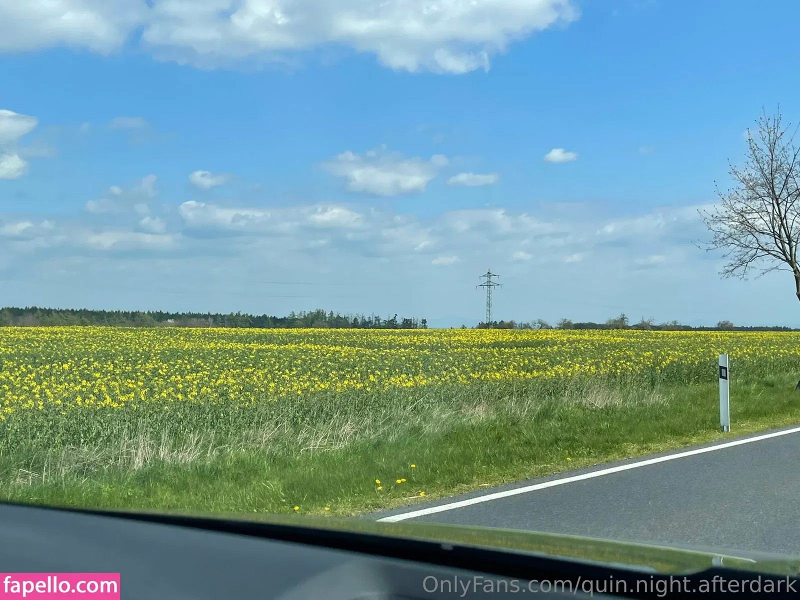 quin.night.afterdark Onlyfans Photo Gallery 