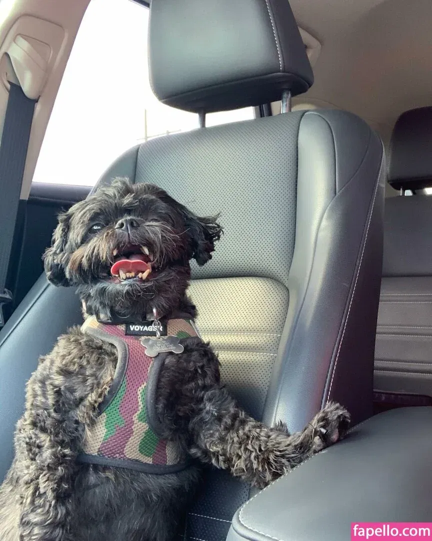 emmy_almyy Onlyfans Photo Gallery 