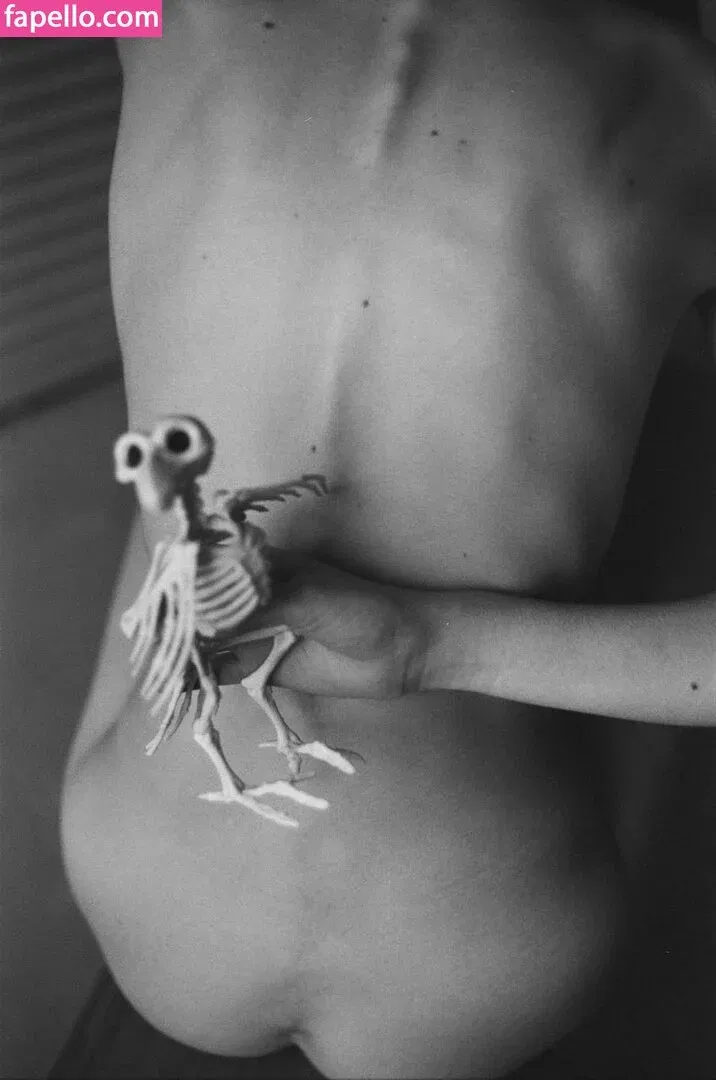 Lexi Graber Onlyfans Photo Gallery 