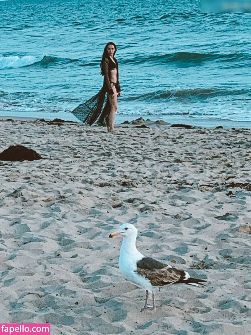 Terrapin Teague Onlyfans Photo Gallery 