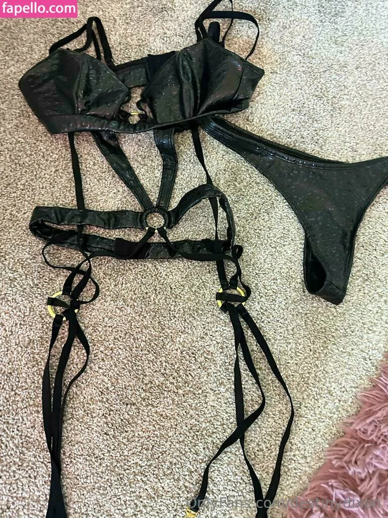 destinydixon Onlyfans Photo Gallery 