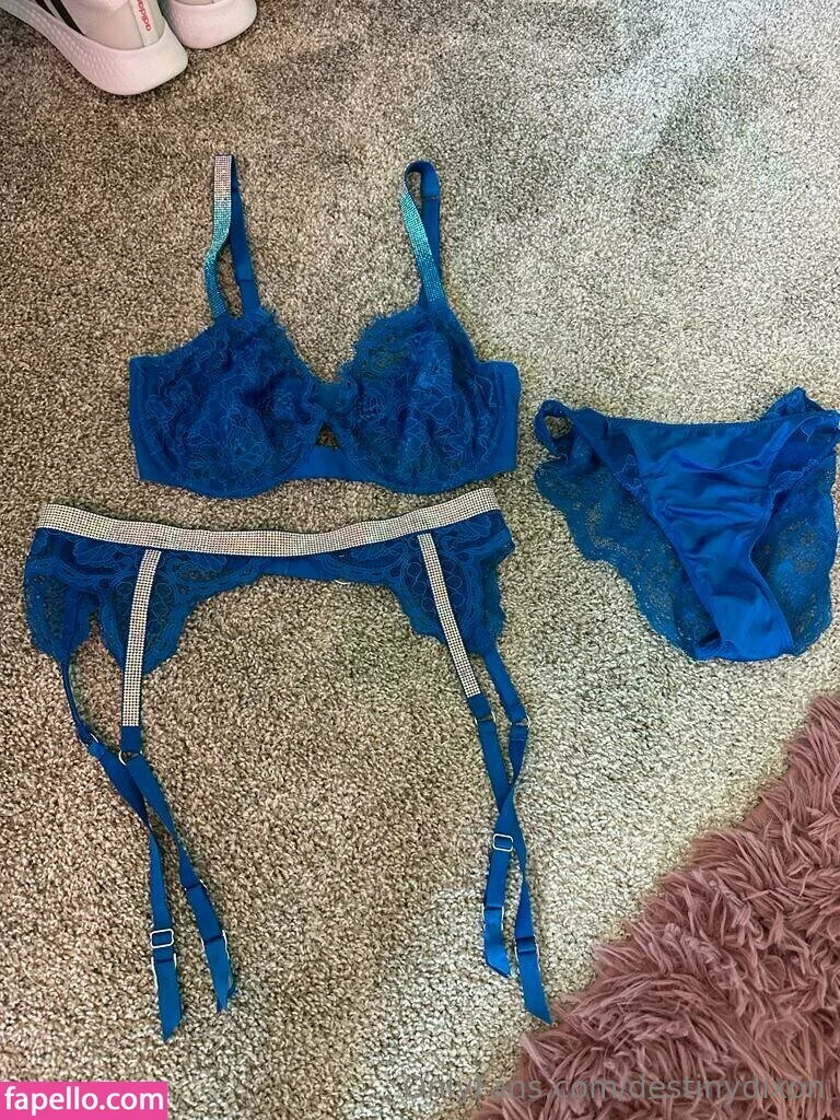 destinydixon Onlyfans Photo Gallery 