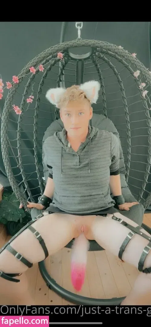 just-a-trans-guy Onlyfans Photo Gallery 
