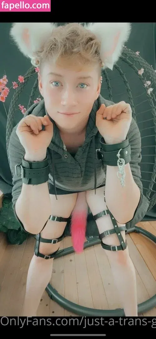 just-a-trans-guy Onlyfans Photo Gallery 