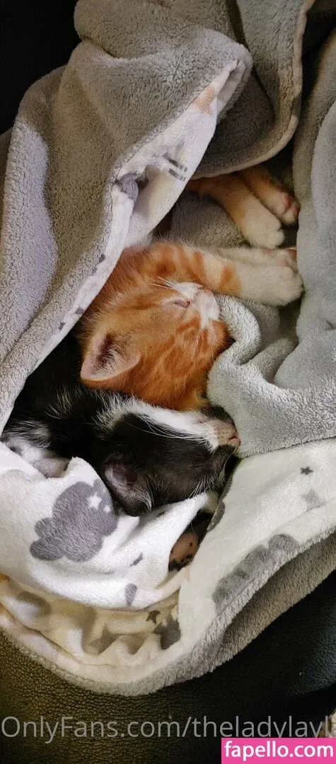 theladylayla Onlyfans Photo Gallery 