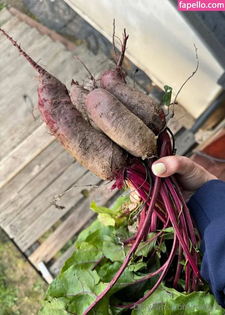 mollylo Onlyfans Photo Gallery 