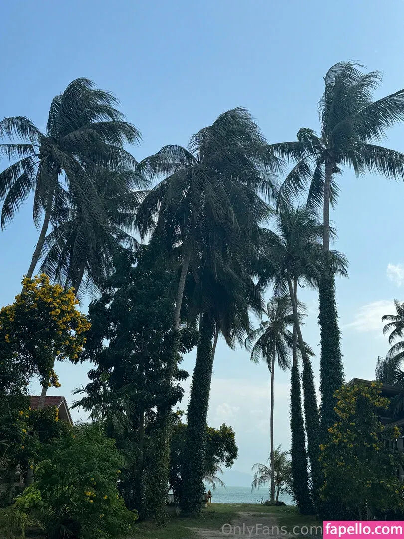 iamvirtuallady Onlyfans Photo Gallery 