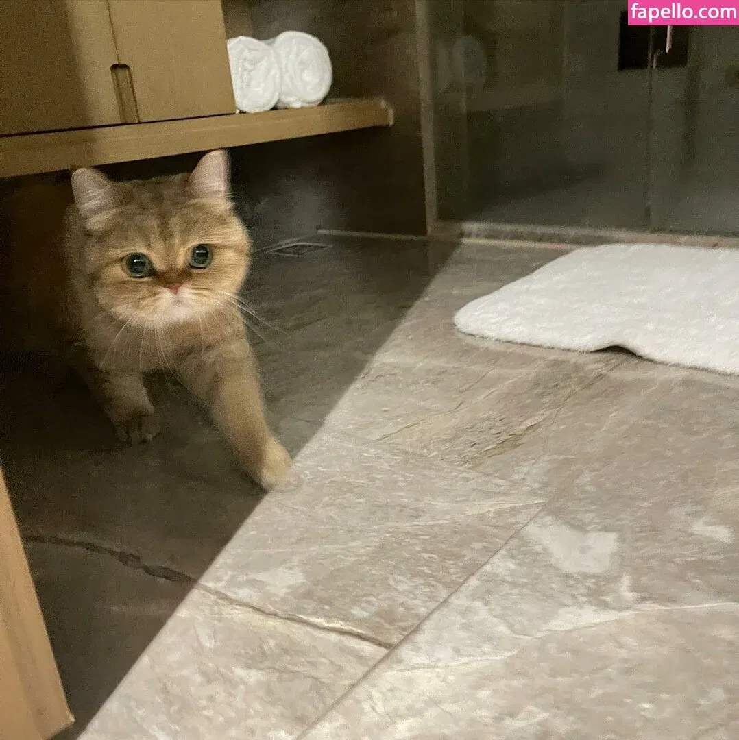 Ivy Ai.lin20_ Onlyfans Photo Gallery 