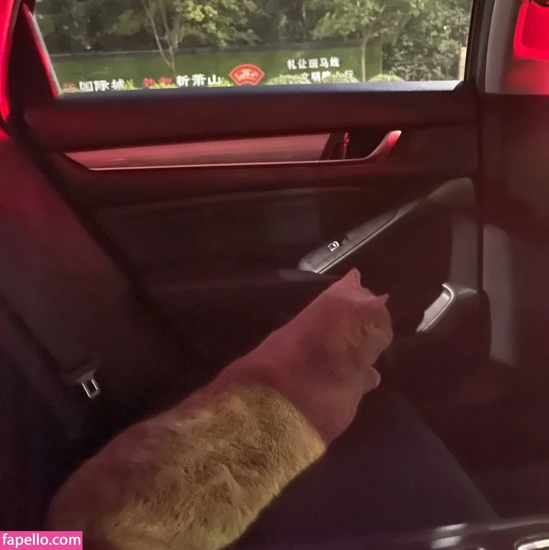 Ivy Ai.lin20_ Onlyfans Photo Gallery 