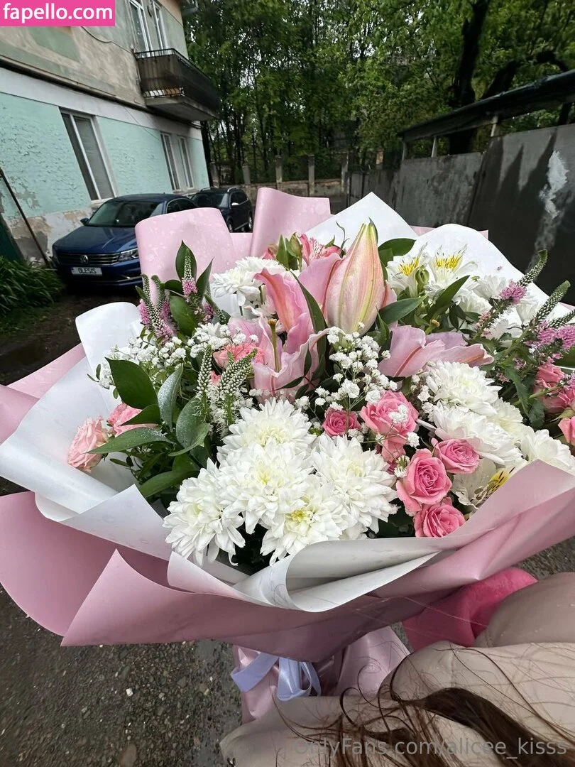 Alice_Kisss Onlyfans Photo Gallery 