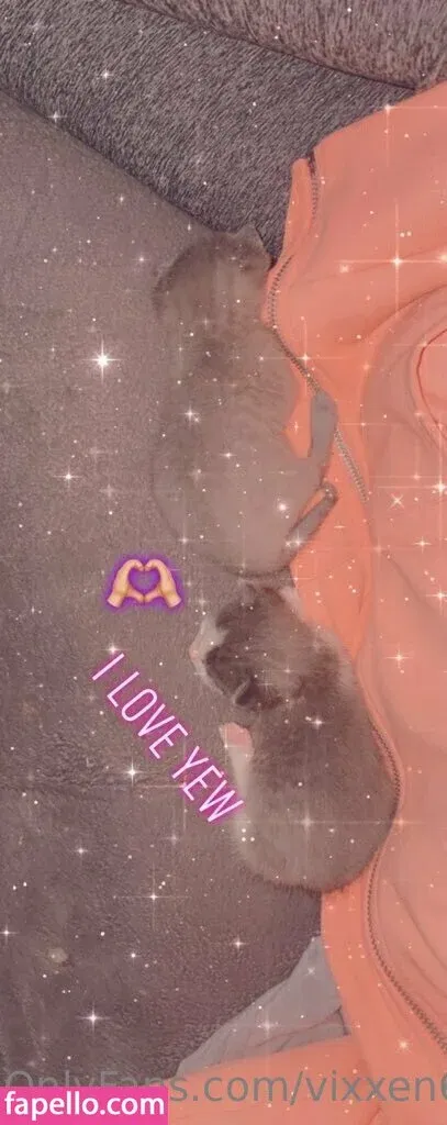 vixxen6969 Onlyfans Photo Gallery 