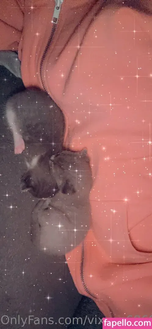 vixxen6969 Onlyfans Photo Gallery 