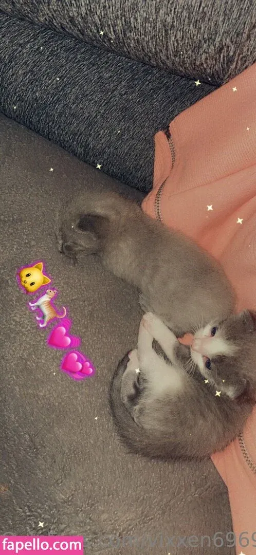 vixxen6969 Onlyfans Photo Gallery 