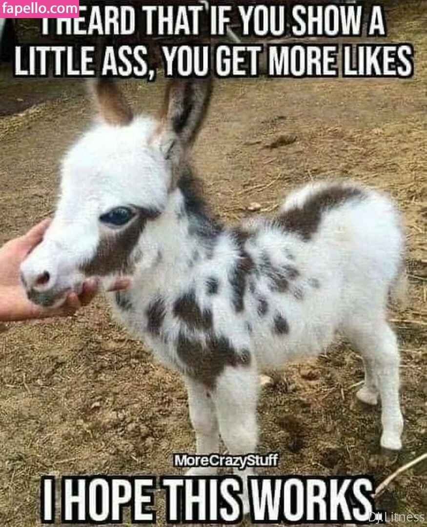 dj_litness Onlyfans Photo Gallery 