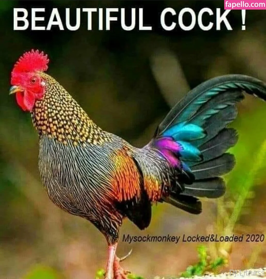 dj_litness Onlyfans Photo Gallery 